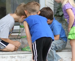 Hilary's Home Daycare - Black Swallowtail Butterfly release!